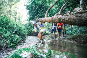 BIB: 
                            <button type="button" onclick="openModal(25443149)" class="btn btn-primary btn-sm float-right btn-popup" data-toggle="modal" data-target=".modal-high-quality">
                        <i class="fas fa-shopping-cart"></i> Add to Cart
                    </button>
                                            <button type="button" onclick="isThisMe(25443149, true)" class="btn btn-success btn-sm float-right btn-popup btn-isme hidden" data-toggle="tooltip" data-placement="bottom" title="นี่คือรูปของคุณใช่ไหม คลิกที่นี่เพื่อเอาเข้าอัลบั้ม">
                        <i class="fas fa-plus"></i> Add to album
                    </button>
                    <button type="button" onclick="isThisMe(25443149, false)" class="btn btn-warning btn-sm float-right btn-popup btn-isnotme hidden">
                        <i class="fas fa-ban"></i> Remove from album
                    </button>